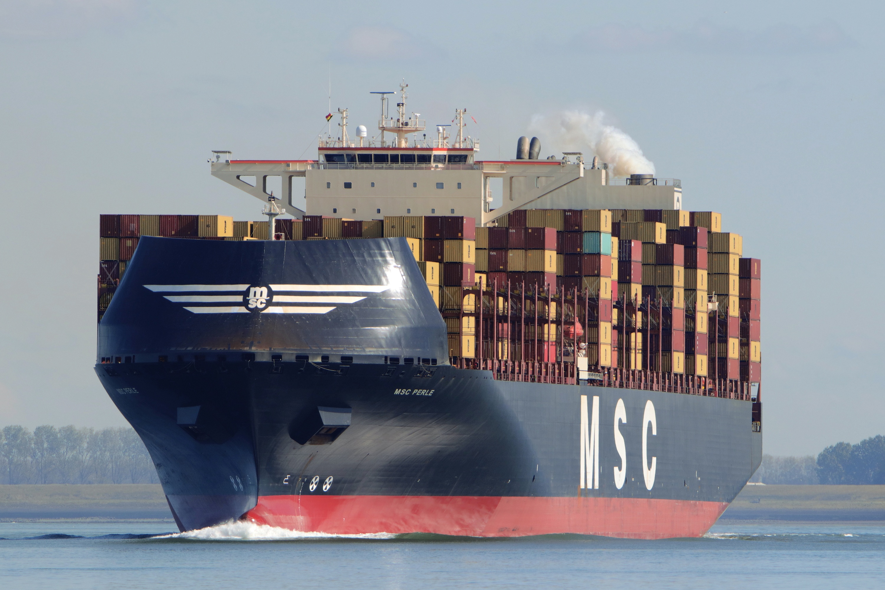 MSC PERLE (IMO 9503732), Container Ship | Position, ETA & Specs