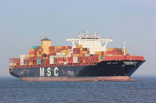 MSC AVNI (IMO 9756729), Container Ship | Position, ETA & Specs