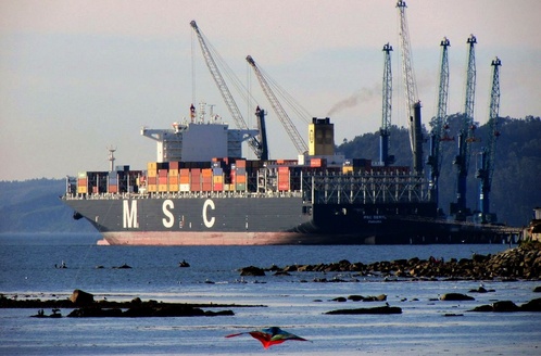 MSC BERYL (IMO 9467392), Container Ship | Position, ETA & Specs