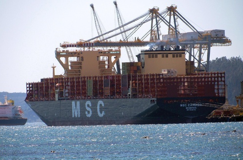 MSC CANDIDA (IMO 9946714), Container Ship | Position, ETA & Specs