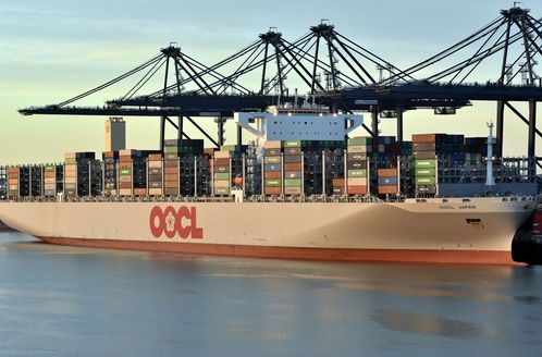 OOCL JAPAN (IMO 9776195), Container Ship | Position, ETA & Specs